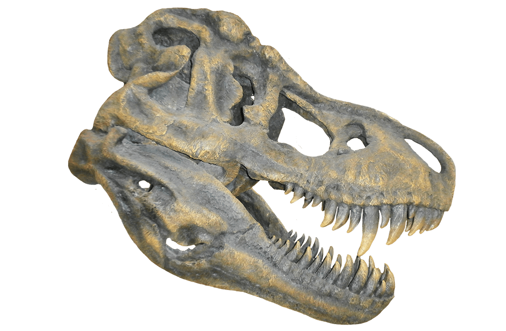 Rex International Dino-Tattoo-Set – 16 Verschiedene Dinosaurier Motive, Temporär, Für Kinder